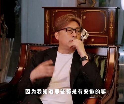 李湘王岳伦娱乐圈大爆料,独家爆料震惊业界  第2张